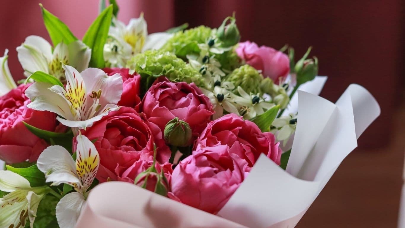 pink roses
